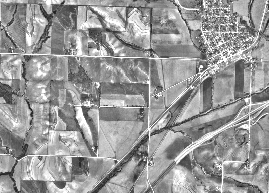 Unfiltered grayscale image Unfiltered grayscale image